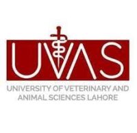 University of Veterinary & Animal Sciences