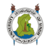 University of Sindh